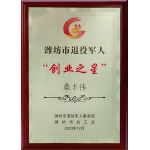 潍坊市退役军人“创业之星”
