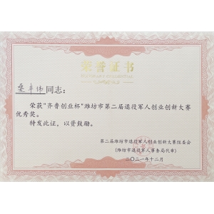 “齐鲁创业杯 ”优秀奖